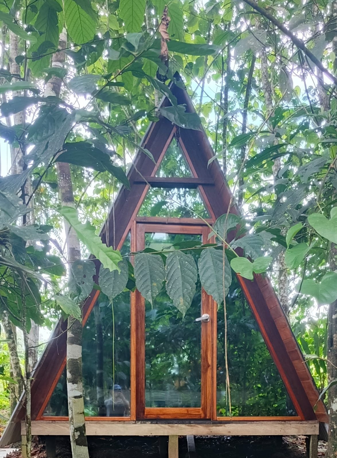 Cabaña Principal